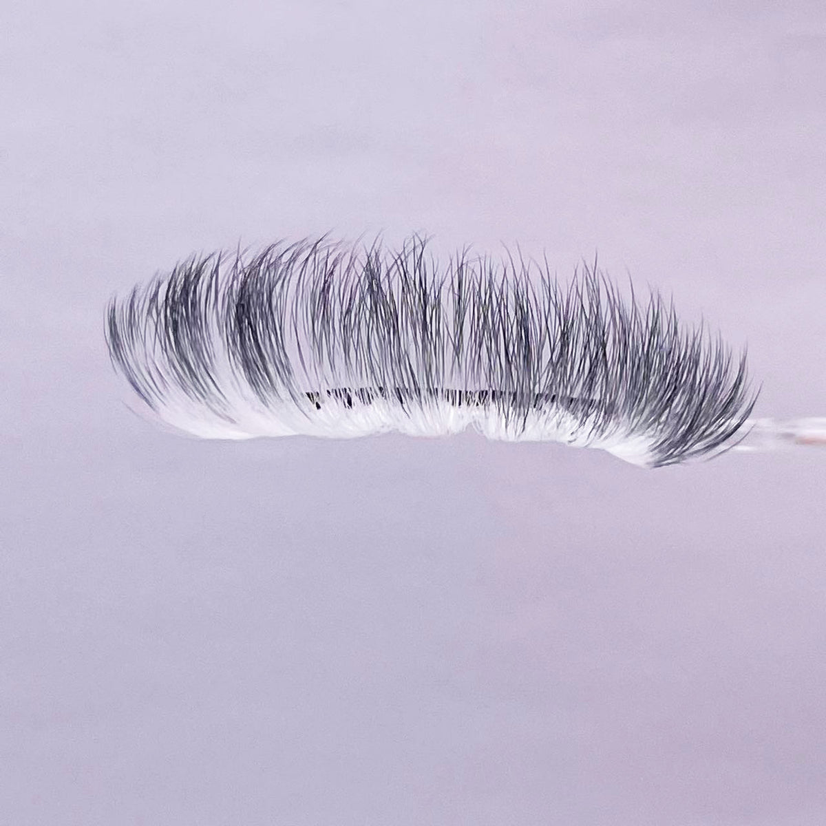 Extension de dégradé de cils volume