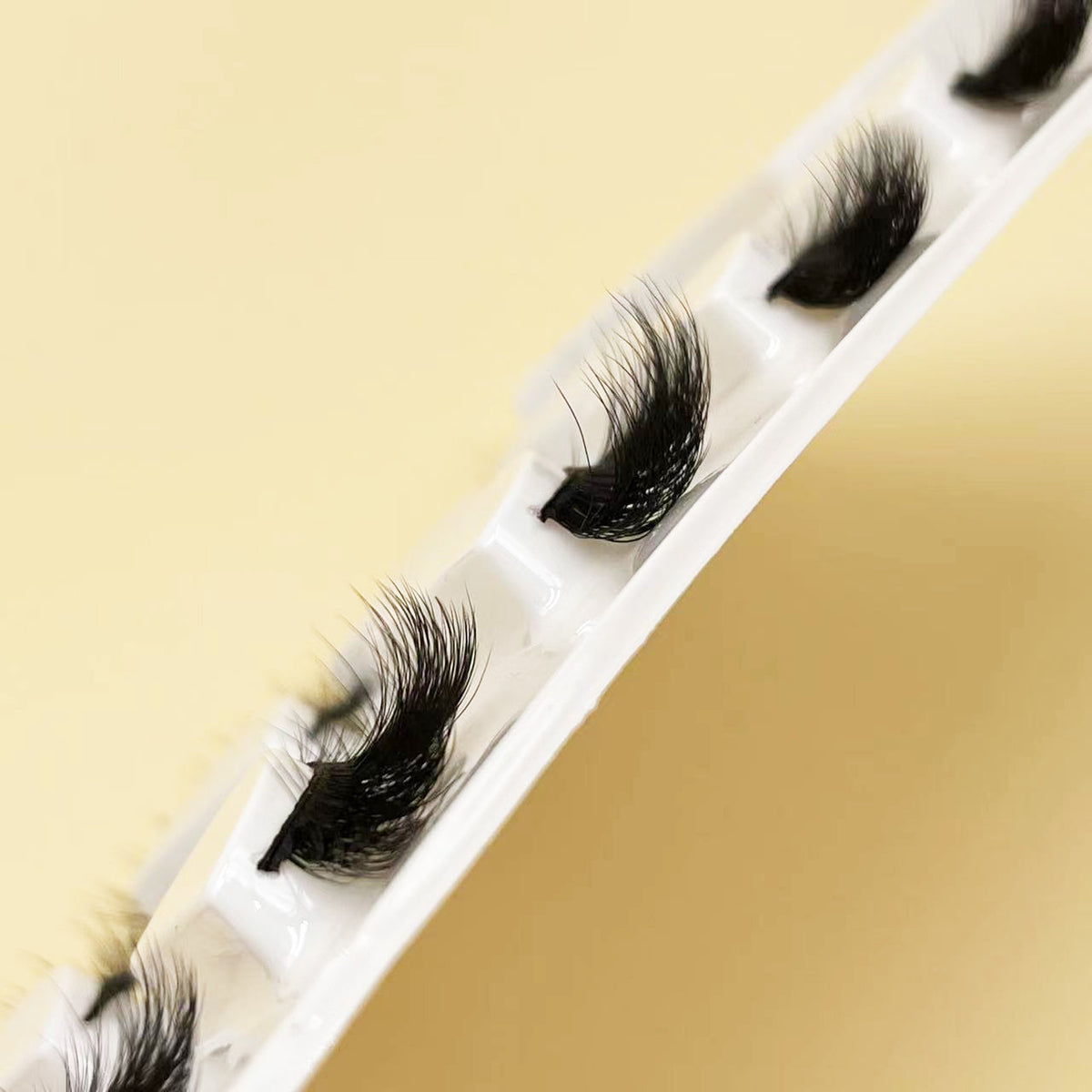 15-17mm Five-padded Cat's eyelashes --- GCA1699